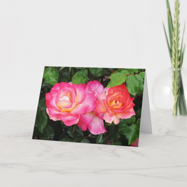 Rose Grußkarte Karte (Vorderseite)