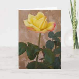 Rose Grußkarte Karte
