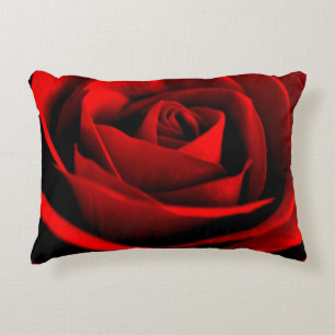 Rose herauf nahes dekokissen