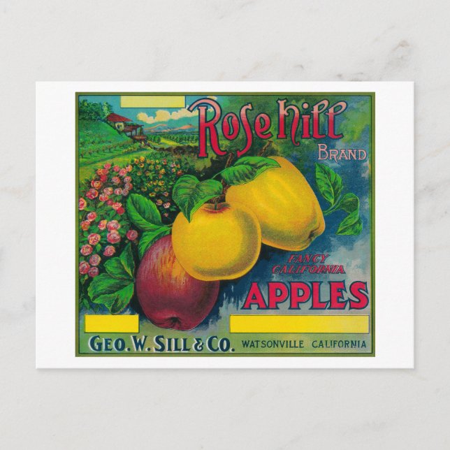 Rose Hill Apple Crate LabelWatsonville, CA Postkarte (Vorderseite)