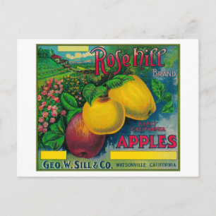 Rose Hill Apple Crate LabelWatsonville, CA Postkarte