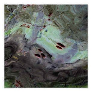 "Rose Hips" Abstrakte Reflektion in Mylar Fotodruck