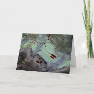 "Rose Hips" Abstrakte Reflektion in Mylar Karte