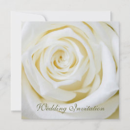 Rose Hochzeitseinladung Einladung