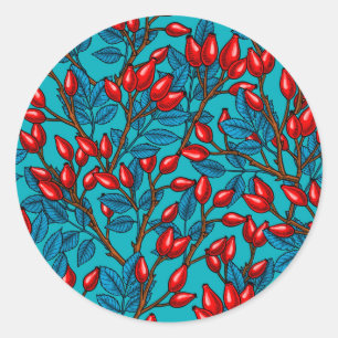 Rose Hüften, rot und blau Runder Aufkleber