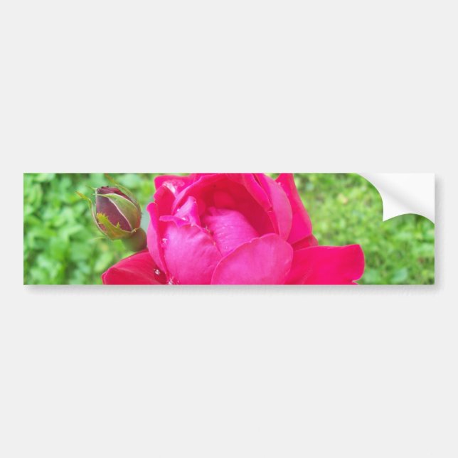 Rose im Blut Autoaufkleber (Vorne)
