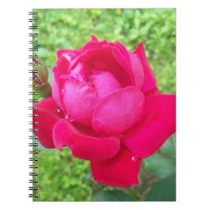 Rose im Blut Notizblock