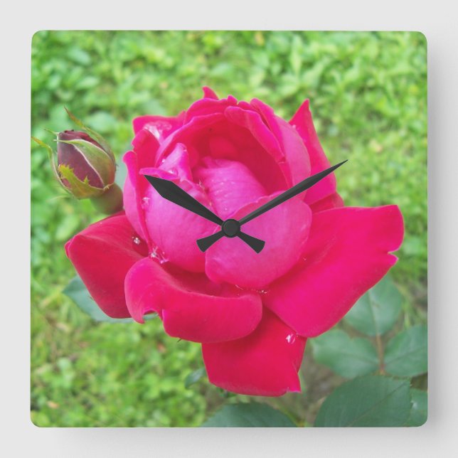 Rose im Blut Quadratische Wanduhr (Vorderseite)