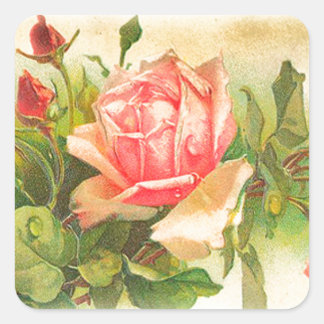Rose im Blut Quadratischer Aufkleber