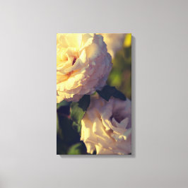 Rose im Garten Leinwanddruck