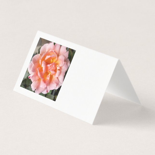 Rose im Herbst (Vorderseite)