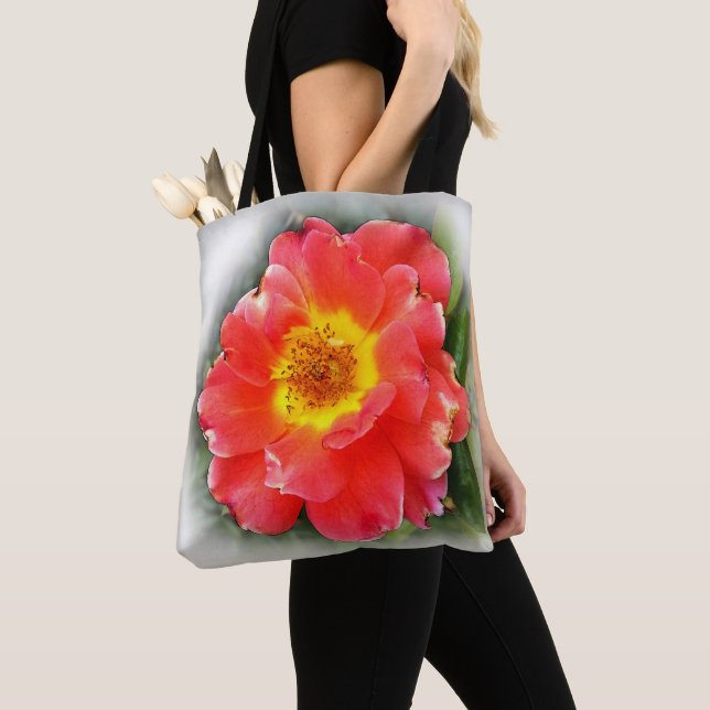 Rose im Herbst (Von Nahem)