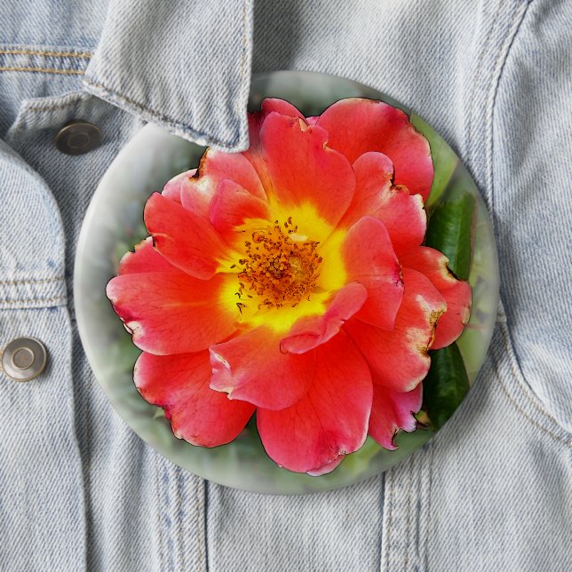 Rose im Herbst Button (Beispiel)