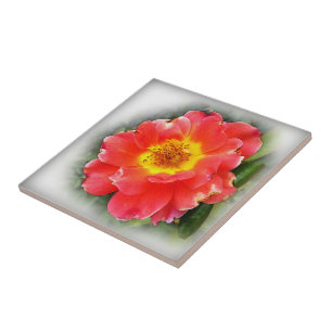 Rose im Herbst Fliese