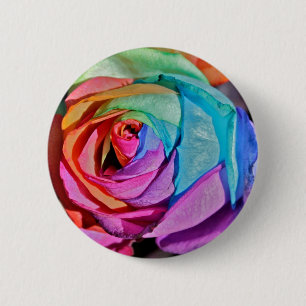 Rose im Multifarbeknopf-Abzeichen Button