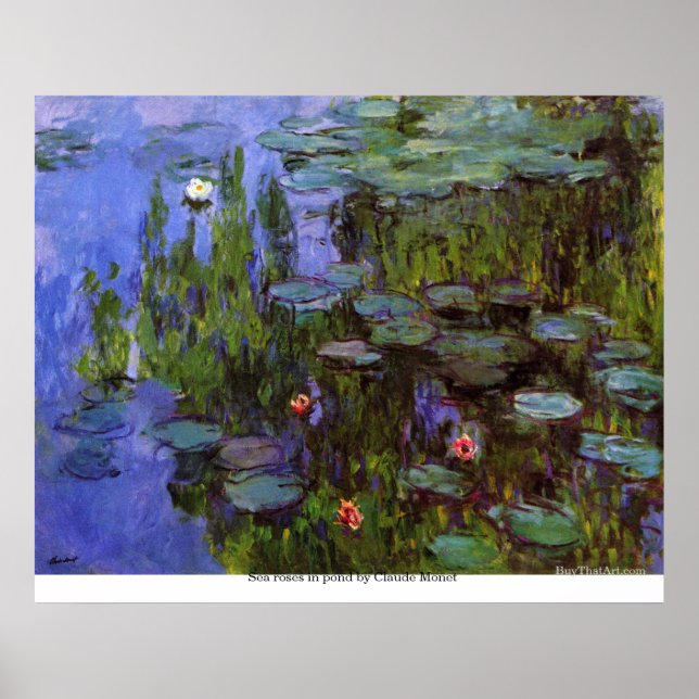 Rose im See von Claude Monet Poster (Vorne)