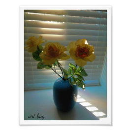 Rose im Sonnenlicht Fotodruck