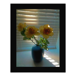 Rose im Sonnenlicht - Fotodruck