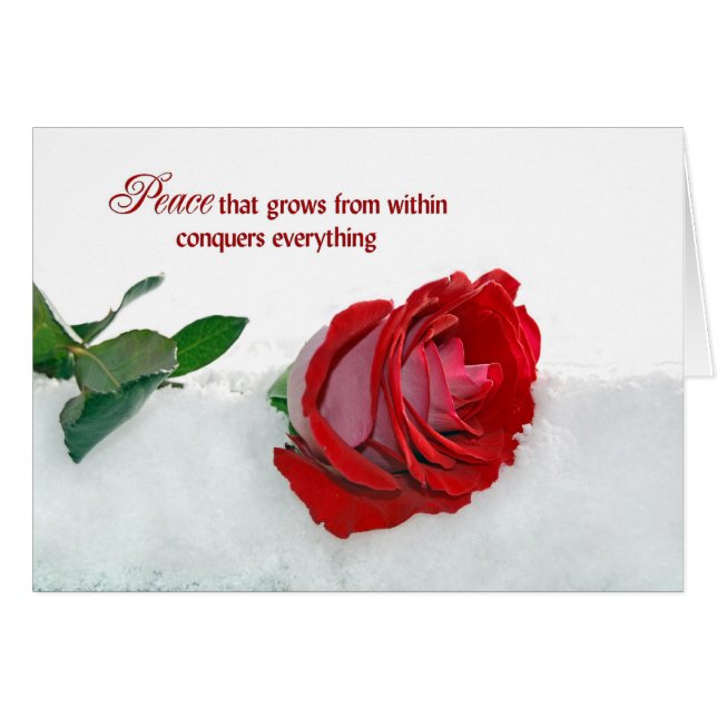 Rose im Winter (Vorderseite (Horizontal))