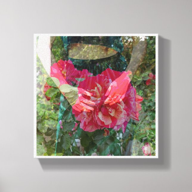 Rose in Bloom Canvas Print Leinwanddruck (Vorderseite)
