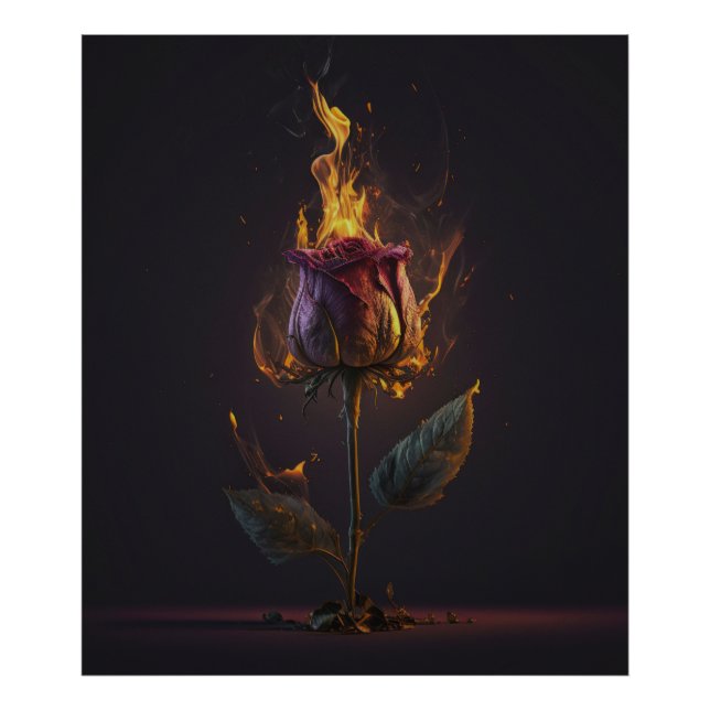 Rose in Brand Fotodruck (Vorne)