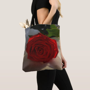 Rose in der Abenddämmerung