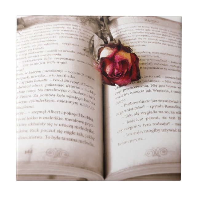 Rose in der Bibel Fliese (Vorderseite)