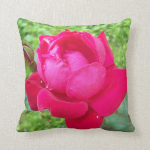 Rose in der Blüte Kissen