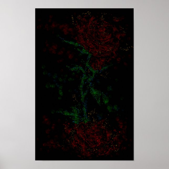 Rose in der Dunkelheit Poster (Vorne)