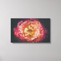 Rose in einem Doppelbelichtungsbild