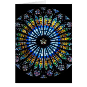 Rose in Frankreich in Straßburg