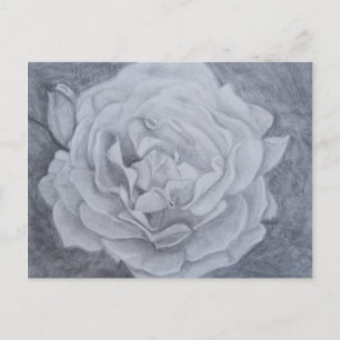 Rose in Graphit Postkarte