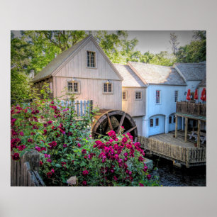 Rose in Plimoth Grist Mill Poster
