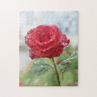 Rose in Regentropfen Puzzle