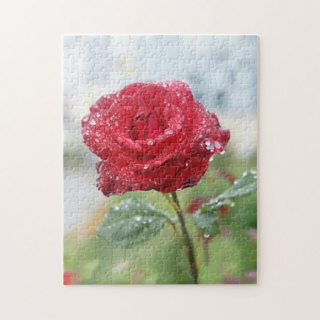 Rose in Regentropfen  Puzzle (Vertikal)