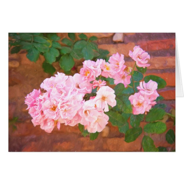 Rose in Rom, Italien im Blankenbereich (Vorderseite (Horizontal))