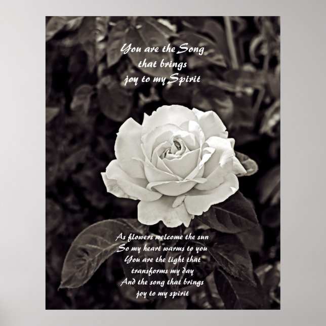 Rose in Schwarz-Weiß-Poster Poster (Vorne)
