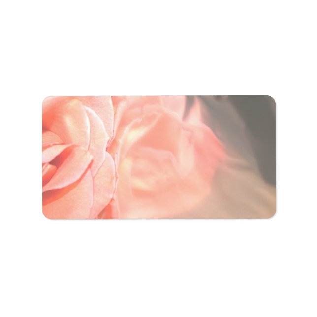 Rose in silber, hellrosa adressaufkleber (Vorne)