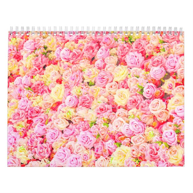 Rose Kalender (Titelbild)