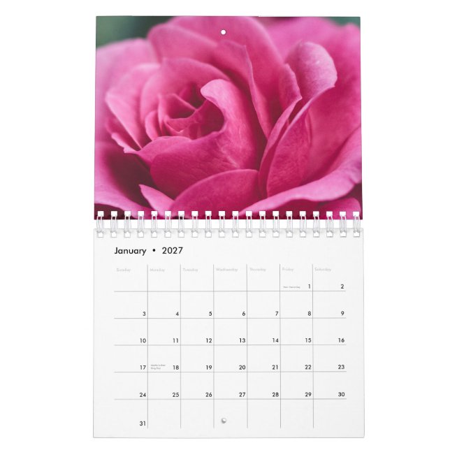 Rose Kalender (Jan 2027)
