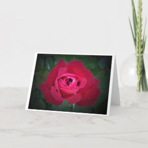 Rose, Karte