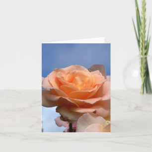 Rose Karte