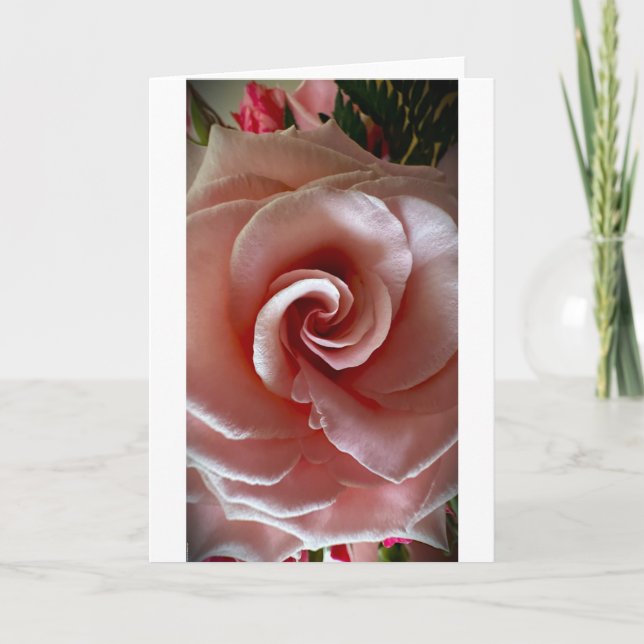 Rose, Karte (Vorderseite)