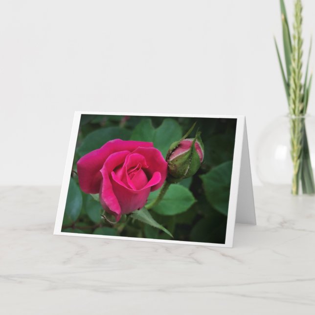 Rose, Karte (Vorderseite)