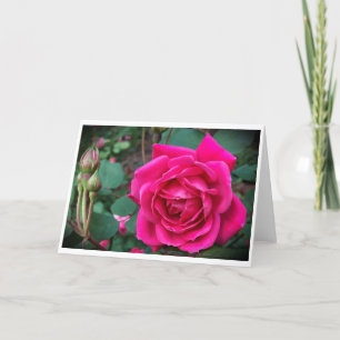 Rose, Karte