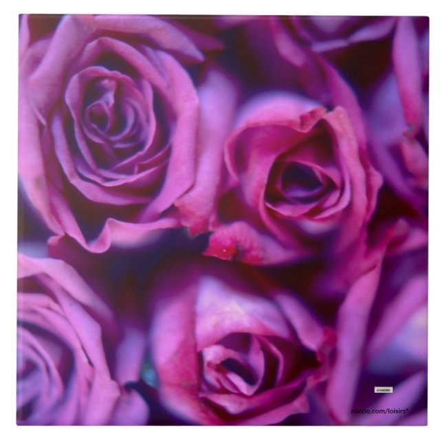 Rose Keramik Fliese (Vorderseite)