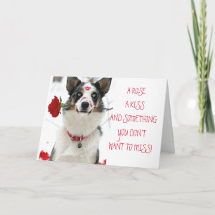 ROSE KISS & ETWAS, WAS UNS NICHT WILL AUF FEHLKART KARTE