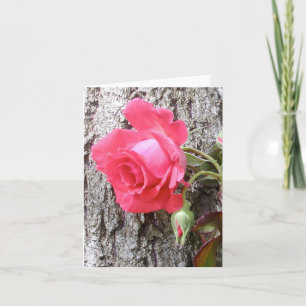 Rose Klettern auf Baum Grußkarte Karte