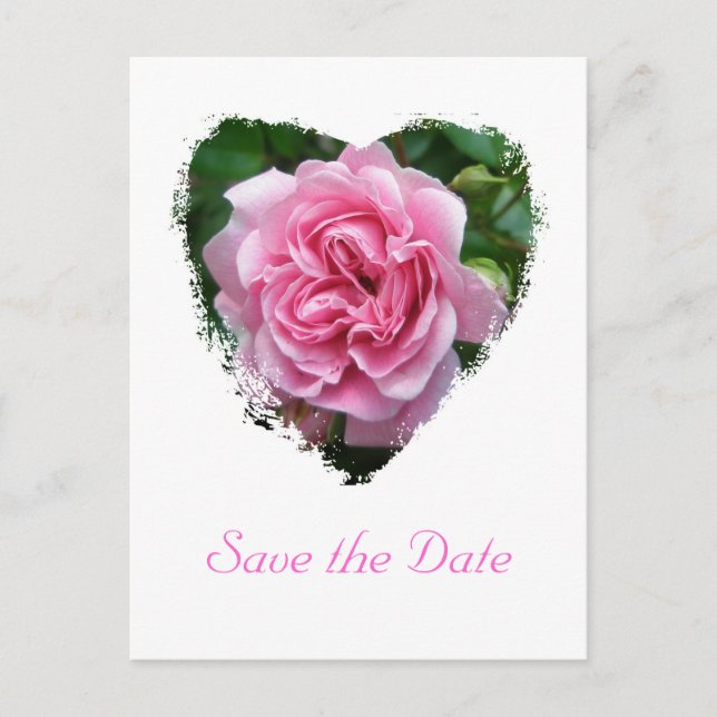 Rose-Koordination Ankündigungspostkarte (Vorderseite)