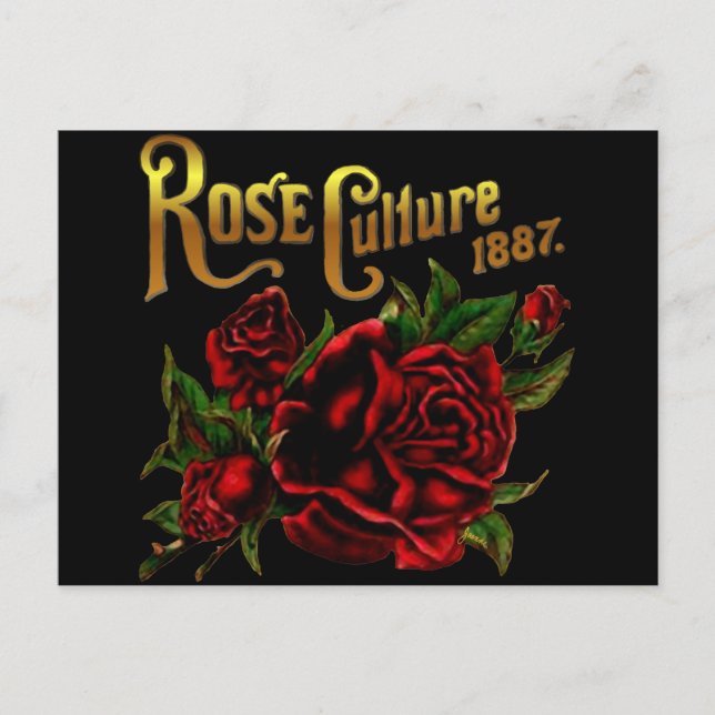 Rose Kultur 1887 Postkarte (Vorderseite)